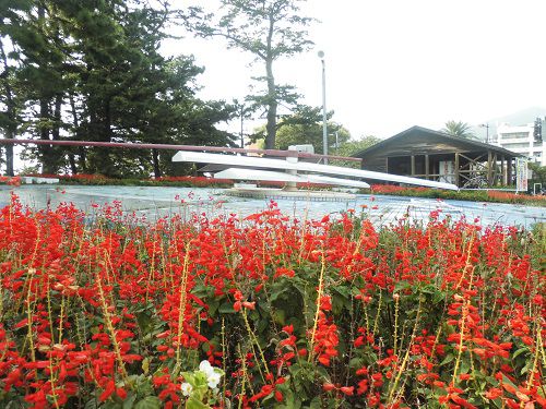 松原公園の花の彩り感じる花時計