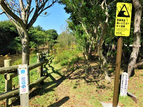 吉田公園：野の花の小径