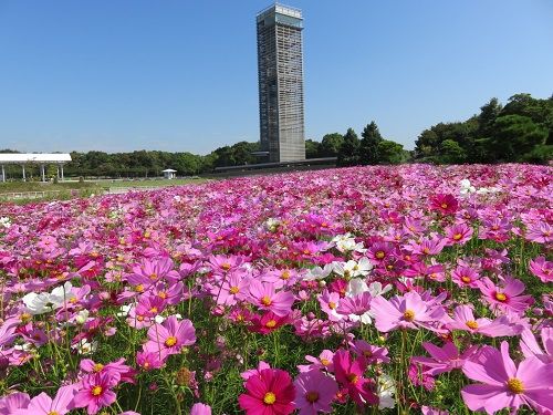 静岡県観光名所・絶景スポットの浜名湖ガーデンパーク展望塔（浜松市）