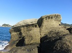 安城岬亀甲岩