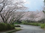 ﾊﾟﾉﾗﾏﾛｰﾄﾞ①