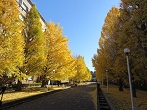 県立大学