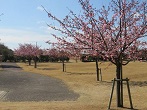 県営吉田公園