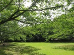 能満寺山公園
