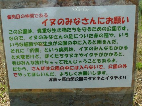 浮島ヶ原自然公園での犬のみなさんにお願いの看板