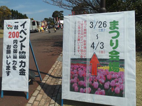 吉田公園にて、チューリップ祭りイベント協力金のお願い