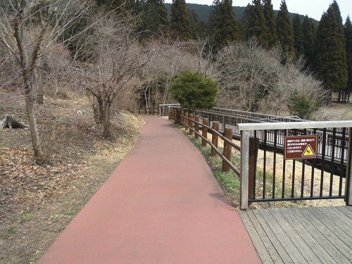 田貫湖の周遊歩道