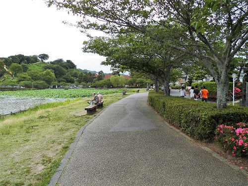 蓮華寺池公園の遊歩道