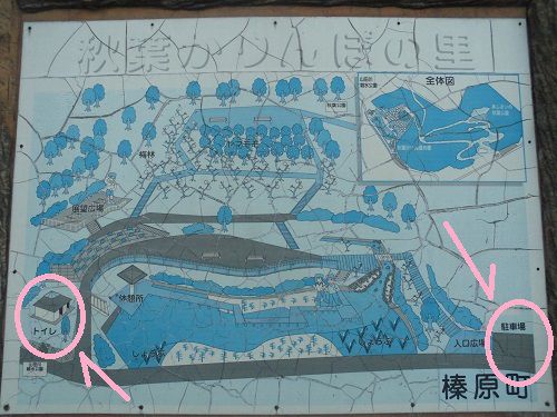 勝間田川沿い桜近くの案内看板（秋葉かりんぽの里の駐車場とトイレの位置関係）