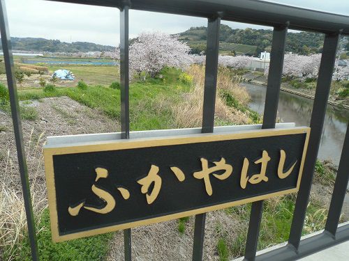 勝間田川沿い桜のふかやはしの文字