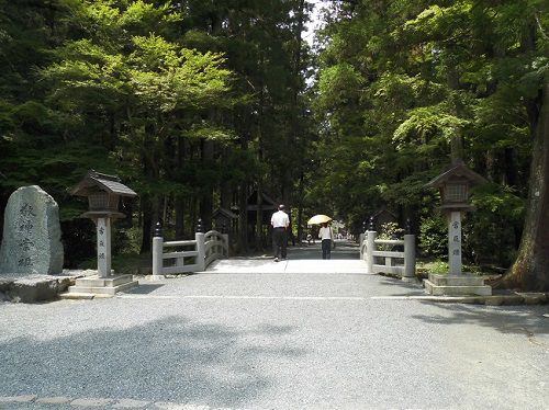 小國神社の大鳥居をくぐると参道脇に背丈（せたけ）の高い木々が立ち並んでいます