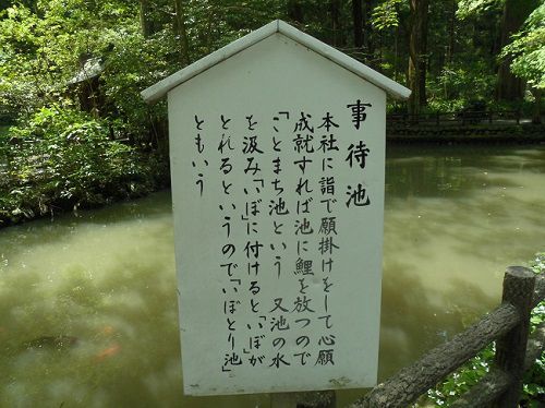 小國神社にて、イボが取れたという言い伝えから別名「いぼとり池」とも呼ばれています