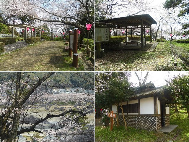 金比羅山緑地と瀬戸川沿いの桜：金比羅山途中にあるトイレや休憩所