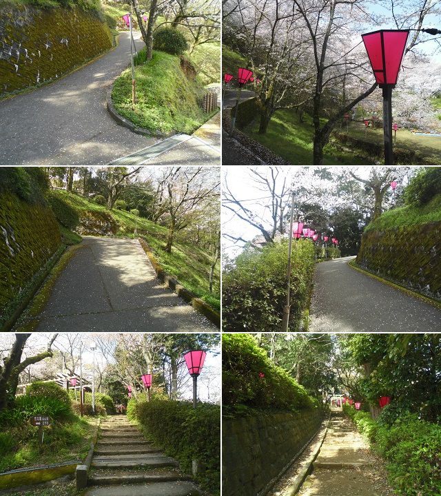 金比羅山緑地と瀬戸川沿いの桜：金比羅山頂上への道のりの様子