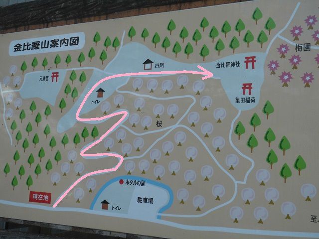 金比羅山緑地と瀬戸川沿いの桜：金比羅山現地案内図