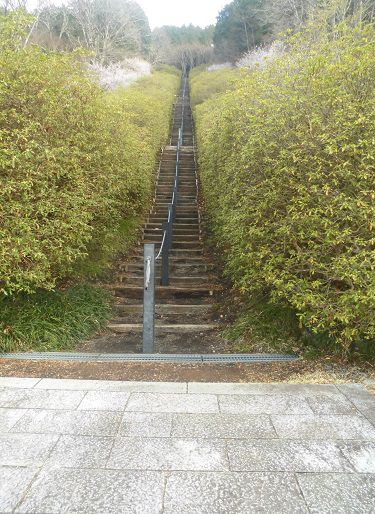 富士霊園の桜展望場所へと向かう傾斜のキツイ階段