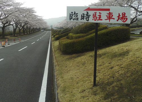 富士霊園の桜時期の臨時駐車場への誘導看板
