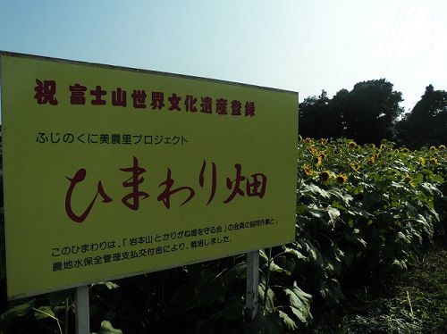 富士市岩本の向日葵：富士市岩本地区のふじのくに美農里プロジェクトの看板