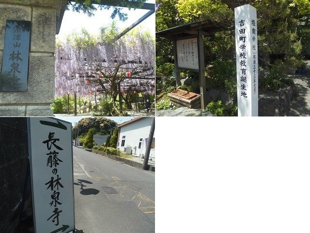 林泉寺の長藤への誘導看板や仮設トイレへの誘導看板、そして境内入口付近の様子