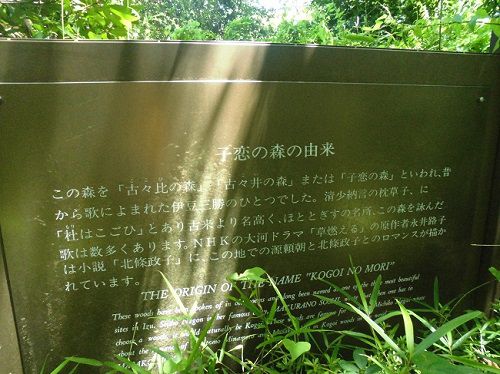 伊豆山神社にて、子恋の森の由来が書かれています