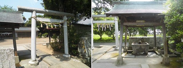 河津来宮神社の手水舎と鳥居