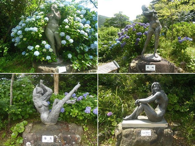 下田公園のアジサイ：裸婦像と紫陽花