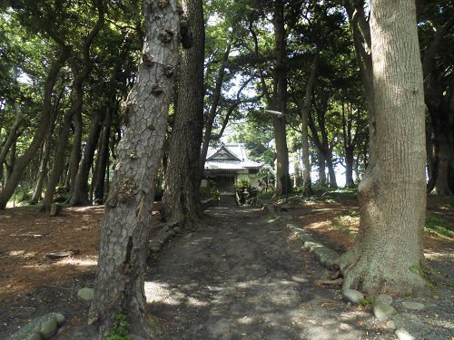 御浜岬に鎮座する諸口神社拝殿方向へ歩いています