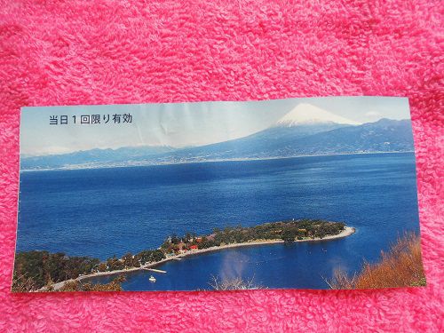 富士山と大瀬崎が映されたチケット