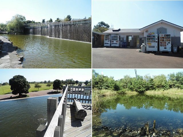 吉田公園の水の流れや池がある環境に、園内自販機の様子
