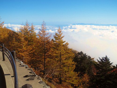 富士山表口五合目（富士宮口五合目・新五合目駐車場）からの紅葉と雲海