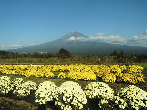 富士山ビュー：白糸自然公園からの富士山