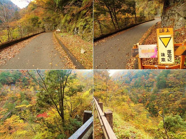 寸又峡（夢の吊り橋）の紅葉：落石注意の看板と紅葉景色、散策路の様子