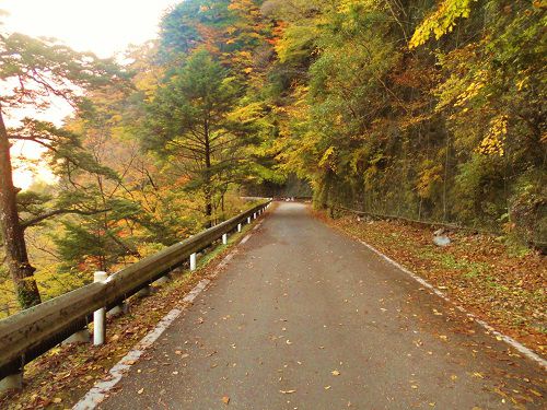 寸又峡（夢の吊り橋）の紅葉：道路を彩る紅葉景色
