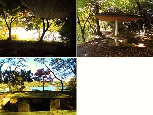 一碧湖の紅葉：木のベンチに休憩場所
