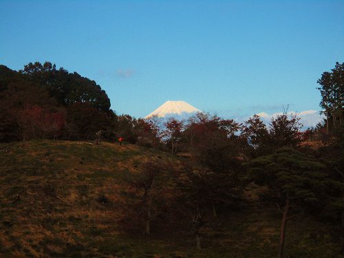 富士山ビュー：修善寺虹の郷（しゅぜんじにじのさと）からの富士山
