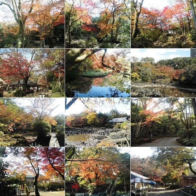 楽寿園の紅葉：園内で見頃を迎えていた紅葉景色を選んでお伝えしています