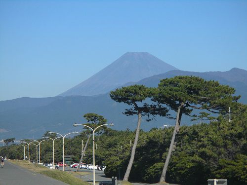 富士山ビュー：千本からの富士山ビュー（雪無し）