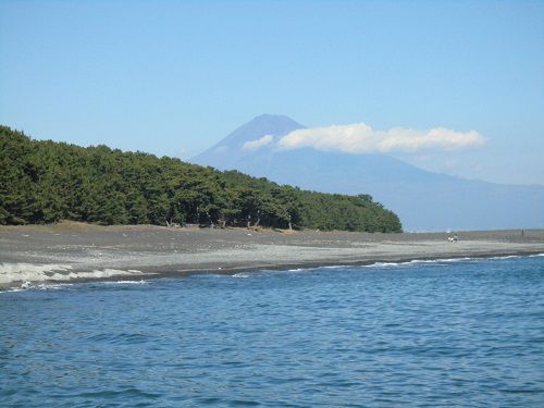 富士山ビュー：三保の松原と富士山：三保の松原から望んだ富士山ビュー