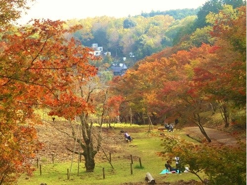 修善寺自然公園の紅葉