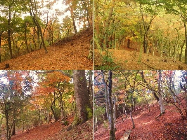 修善寺自然公園の紅葉：見頃を迎えていた紅葉景色を選んでお伝えしています