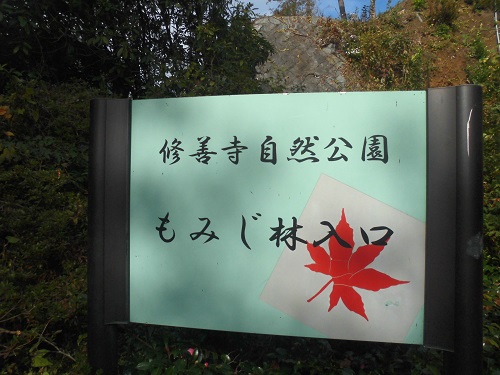 修善寺自然公園の紅葉：「もみじ林入口」の表示