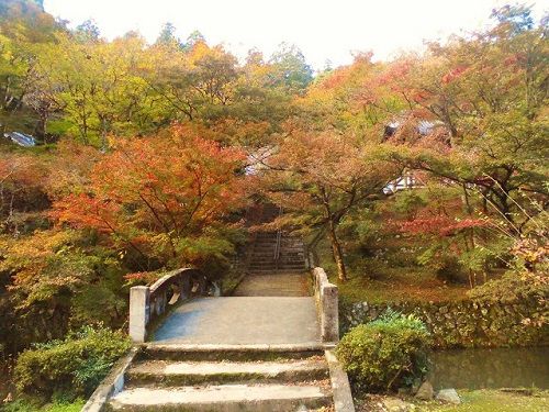 大洞院の紅葉：参道脇を彩る紅葉景色
