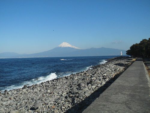富士山ビュー：御浜岬公園からの雄大な富士山ビュー
