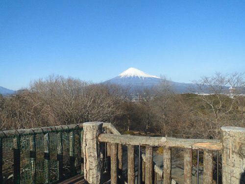 岩本山公園での富士山