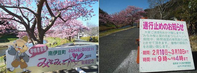 みなみの桜祭り現地看板