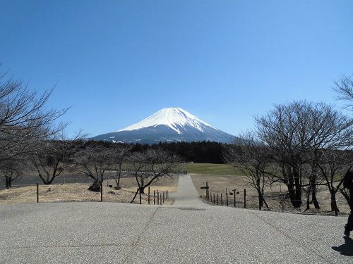 富士山ビュー：朝霧高原の富士山