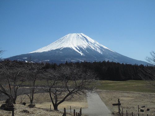 富士山ビュー：朝霧高原、富士山