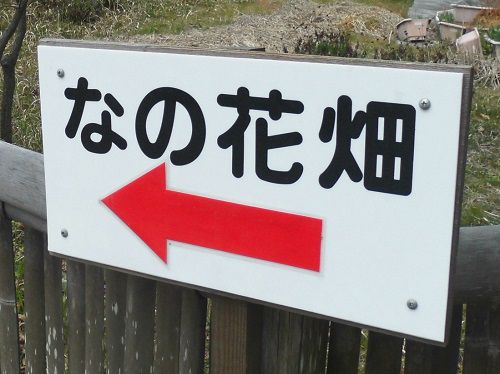 沼津御用邸記念公園の菜の花畑への誘導看板