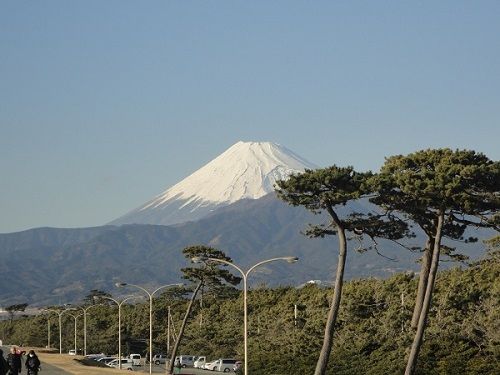 富士山ビュー：千本からの富士山
