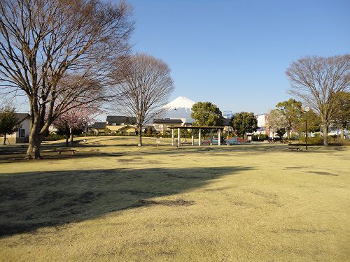 米之宮公園での富士山と園内広場